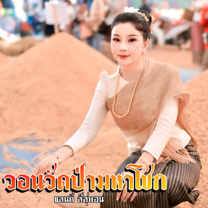 วอนวัดป่ามหาโชก