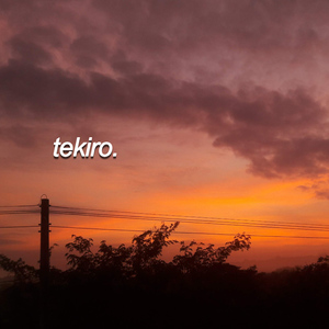 The Thing I Never Gave You