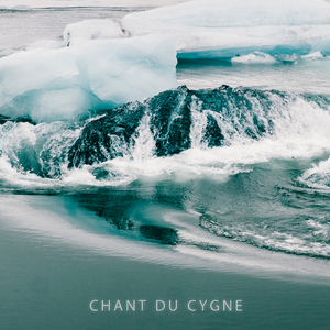 Chant Du Cygne
