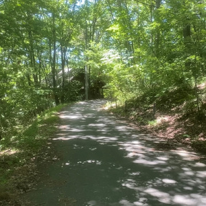 Hello, my friend (ピアノカバーバージョン)