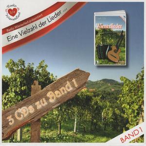 In Lichtental, da steht ein Haus