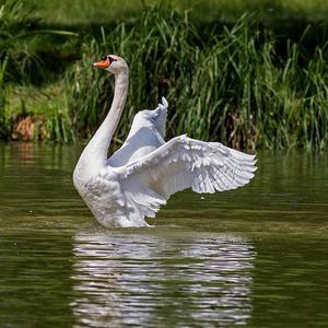 wasciduhgv ghedsiuuyih