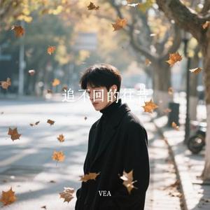 追不回的往昔