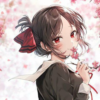 辉夜大小姐想让我告白｜OP，ED，合集