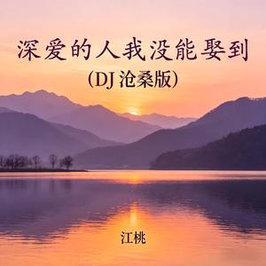 深爱的人我没能娶到(DJ 沧桑版)