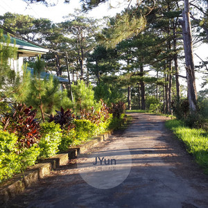 그 때 그 시절 Those days