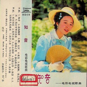 阿凡提之歌（故事片《阿凡提》主题歌）