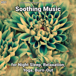 Soothing Music Pt. 26