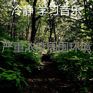 抚慰的加工回忆
