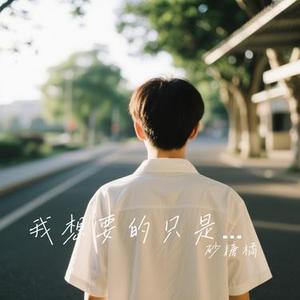 我想要的只是你在我身边