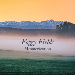 Foggy Fields