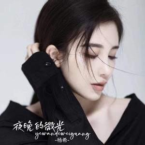 夜晚的微光