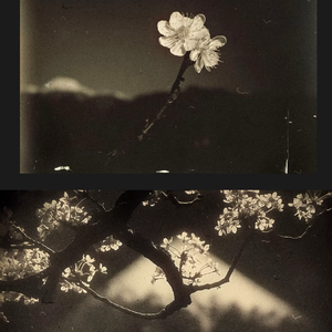 Pop Guitar Type Beat “空の私”