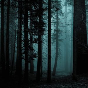 不気味な迷いの森ホラーBGM