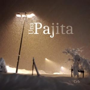 Una Pajita