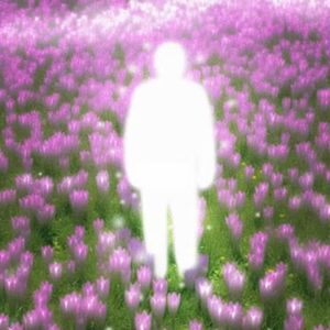 遗忘是浪漫的开始