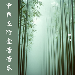 中医五行音乐·金音·清心宁神