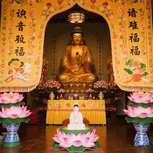 观心自在