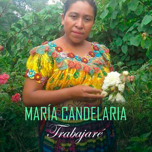 Trabajare