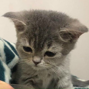 HoangDucQuangxMemory