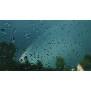 nothing can kill this vibe