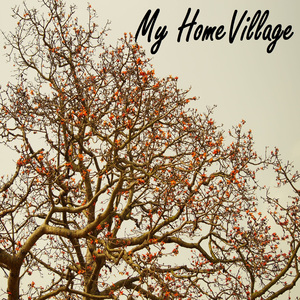 My Home Village