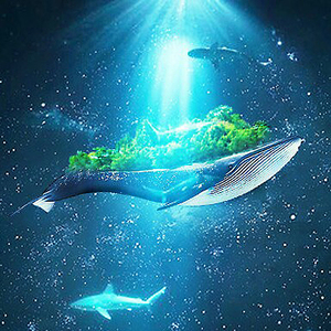 化身孤岛的鲸（Cover 周深）