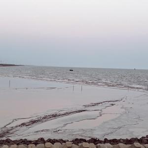 被动-南无&广场舞大妈