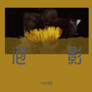泡影