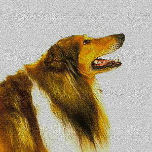 강아지를 부탁해