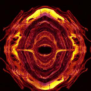 Rage Riot | Red (EP INTERDIMENTIONAL 180 BMP)