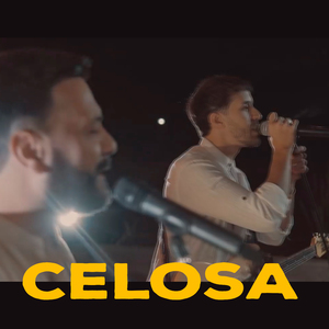 Celosa