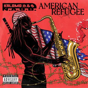 NABB (Theme Dmix) (feat. Jan Jeffries & Kenneth (Pop) Taylor) (Dance Mix)