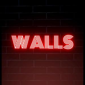 WALLS (feat. SKULLREAPER25)
