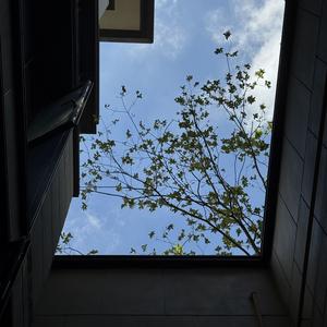 《一个人的夜晚时光》