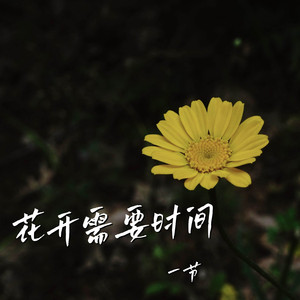 花开需要时间 (伴奏)