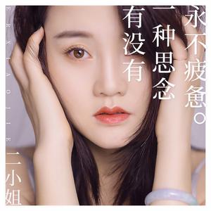 有没有一种思念永不疲惫 (DJ何鹏版)