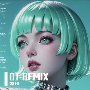 铁窗泪（张社长 remix）