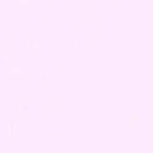 短暂的陪伴是奖励还是惩罚呢