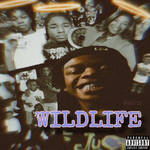 Shooting Stars (feat. Li Scotty, VL Quan & 1wolf)