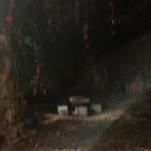 הכוכבים לא אמרו כלום