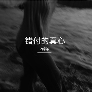 错付的真心
