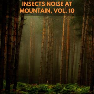 Force of Distant Wind