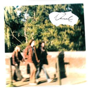 In The Aeroplane Over The Sea (Narwals Version)