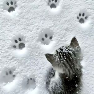 LONG WINTER（Prod.Roman）