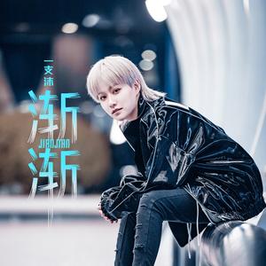 渐渐 (DJ沈念版)