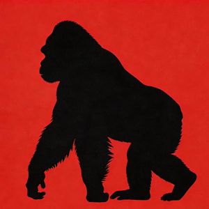 狂人freestyle（Prod By 9Zi)