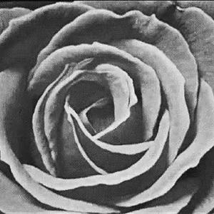 [Free]"luv hurts" R&B/Drill Beat