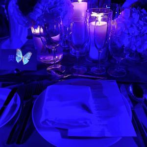 Kush Kush-I'm Blue（9 Diuz remix）