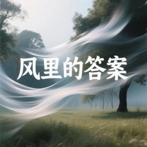 风里的答案